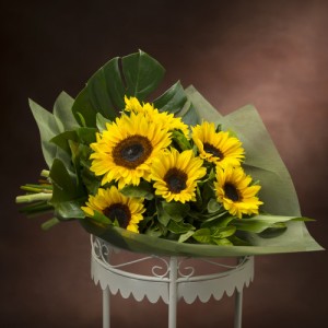 F4-Sunny
